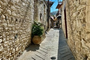 Montanhas Troodos: tour particular com prova de vinhos