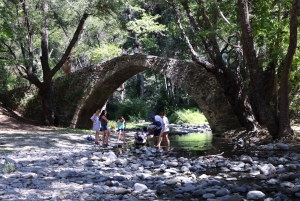 Troodos Mountains: Real Cyprus Private Tour - Local Guide