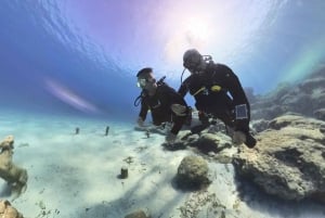 スキューバダイビング（プライベート＆個別）― 資格不要