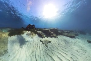 スキューバダイビング（プライベート＆個別）― 資格不要