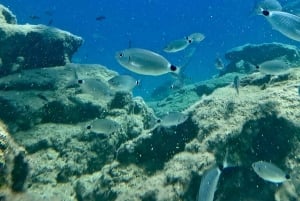 スキューバダイビング（プライベート＆個別）― 資格不要