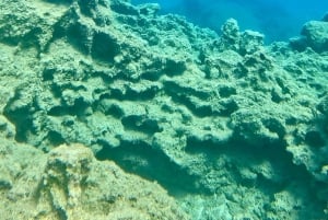 スキューバダイビング（プライベート＆個別）― 資格不要