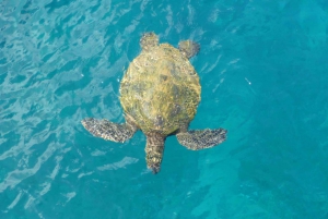 パフォスからキプロスの味 (プライベート)