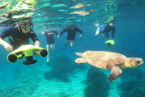 パフォスからキプロスの味 (プライベート)