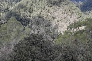 Día inolvidable de safari desde Pafos a las montañas de Troodos