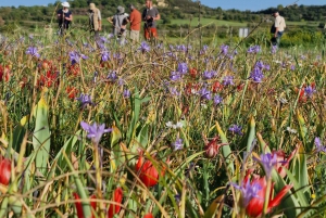 Unforgettable day on safari from Paphos to the Troodos mountains