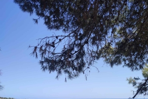 Wybierz się na spacer (zwykle do 10 km) i zwiedzaj okolice Przylądka Greco.