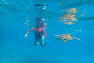 Wybierz się na spacer (zwykle do 10 km) i zwiedzaj okolice Przylądka Greco.