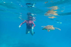 Camminare (di solito fino a 10 km) ed esplorare i dintorni di Cape Greko