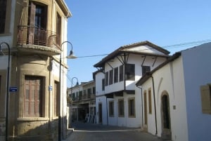 Welcome to Nicosia: Private Tour with a Local
