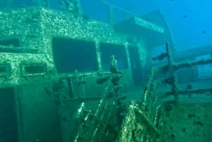 Zenobia Wreck: Private Guided Dive