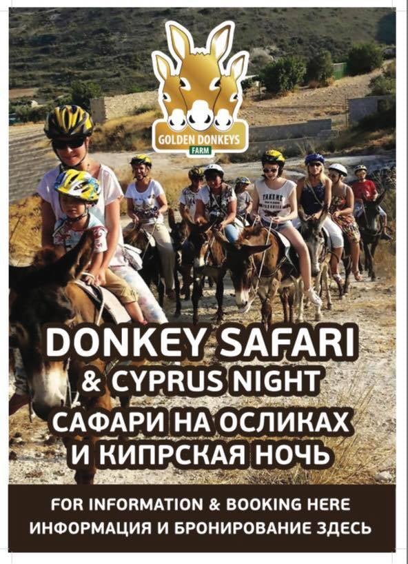 Donkey Safari & Cyprus Feast