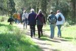 The Cyprus Strollers
