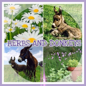 Herbs and Donkeys