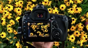 Level 1 Digital Photography