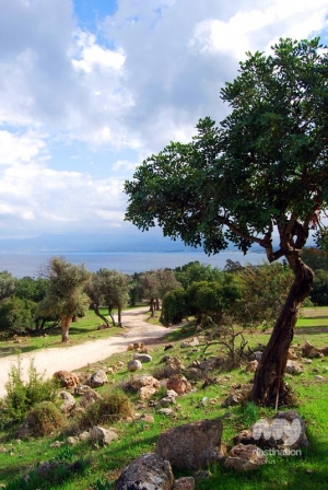 Akamas, Pafos © My Destination Cyprus