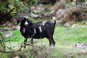 Akamas, Pafos © My Destination Cyprus