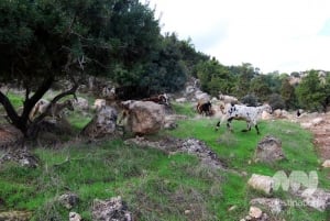 Akamas, Pafos © My Destination Cyprus