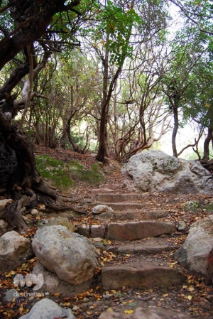 Avakas Gorge  © My Destination Cyprus