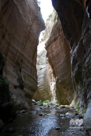  Avakas Gorge © My Destination Cyprus