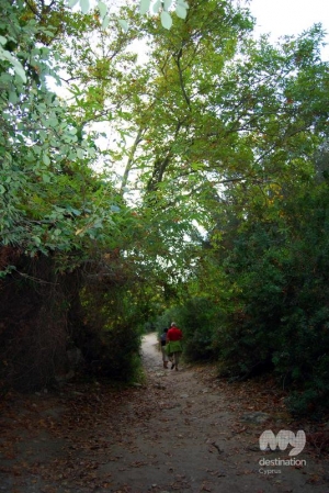 Avakas Gorge, Pafos  © My Destination Cyprus