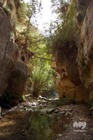Avakas Gorge, Pafos © My Destination Cyprus