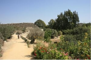 Choirokoitia photo by cypruspictures.net