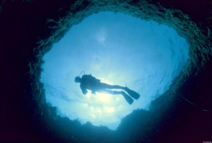 Diving at Turtle Rock, photo by CTO