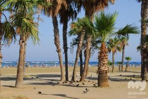 Finikoudes Beach, by Christina Kyriakou