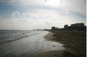 Finikoudes photo by cypruspictures.net