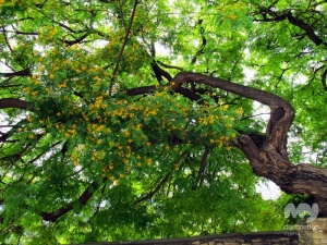 Kato Lefkara © My Destination Cyprus