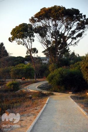 Larnaka Salt Lake, by Christina Kyriakou