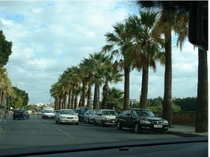 Lefkosia photo by cypruspictures.net