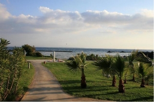 Mazotos Area photo by cypruspictures.net