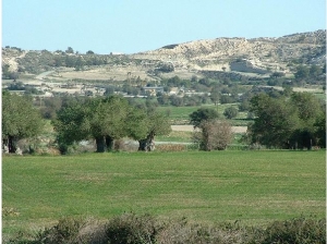 Mazotos larnaka photo by cypruspictures.net