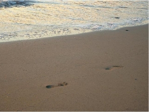 Paphos Coral Bay photo by cypruspictures.net