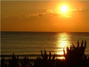 Paphos Coral Bay photo by cypruspictures.net