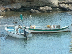 Romanzo Marina Larnaka photo by cypruspictures.net