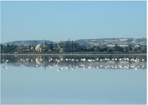 Salt Lake Larnaka photo by cypruspictures.net