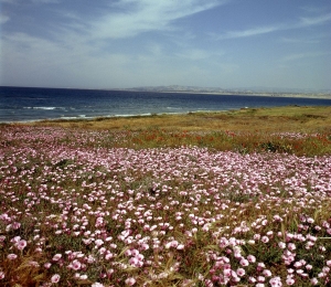 Scenery from Cyprus, photo by PIO, Cyprus.