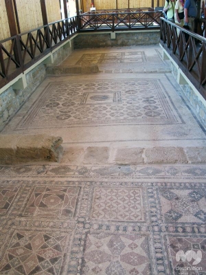 The House of Dionysus © My Destination Cyprus