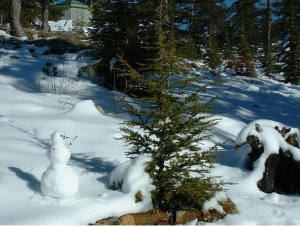 Troodos Mountains photo by cypruspictures.net