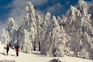 Troodos Mountains, photo by PIO,Cyprus.