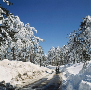 Troodos Mountains, photo by PIO, Cyprus.