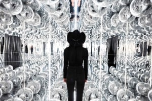 バルーンミュージアムダラス - レッツフライ - フレックスチケット