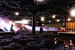 バルーンミュージアムダラス - レッツフライ - フレックスチケット