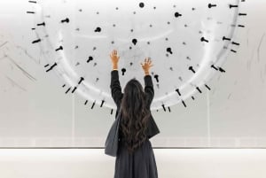 バルーンミュージアムダラス - レッツフライ - フレックスチケット