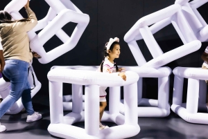 バルーンミュージアムダラス - レッツフライ - フレックスチケット