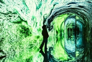 バルーンミュージアムダラス - レッツフライ - フレックスチケット