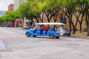 Dallas: 1 or 2-Hour Electric Cruiser Open-Air Tour